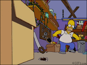 Imagem animada onde Homer, dOs Simpsons, vê um inseto entrando embaixo de uma caixa mas, quando levanta o objeto, não acha o inseto.