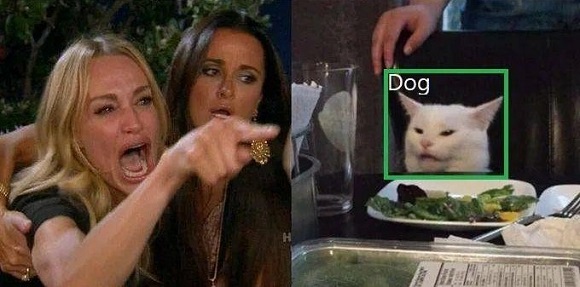 Meme em que a Mulher aponta para algo chorando, e do outro lado está um gato com cara séria. Ao redor dele, uma marcação quadrada com a identificação 'dog' (cachorro).'