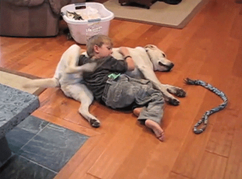 Gif de um garoto deitado na barriga de um cão, um fazendo carinho no outro.
