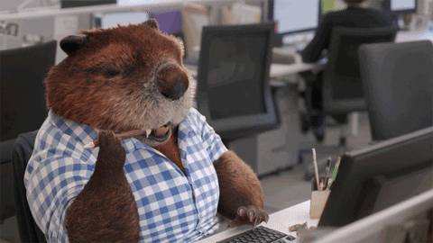 Imagem animada de um castor vestindo uma camisa xadrez, roendo um lápis, de frente para um laptop. Pipoca na tela uma mensagem, que ele responde.
